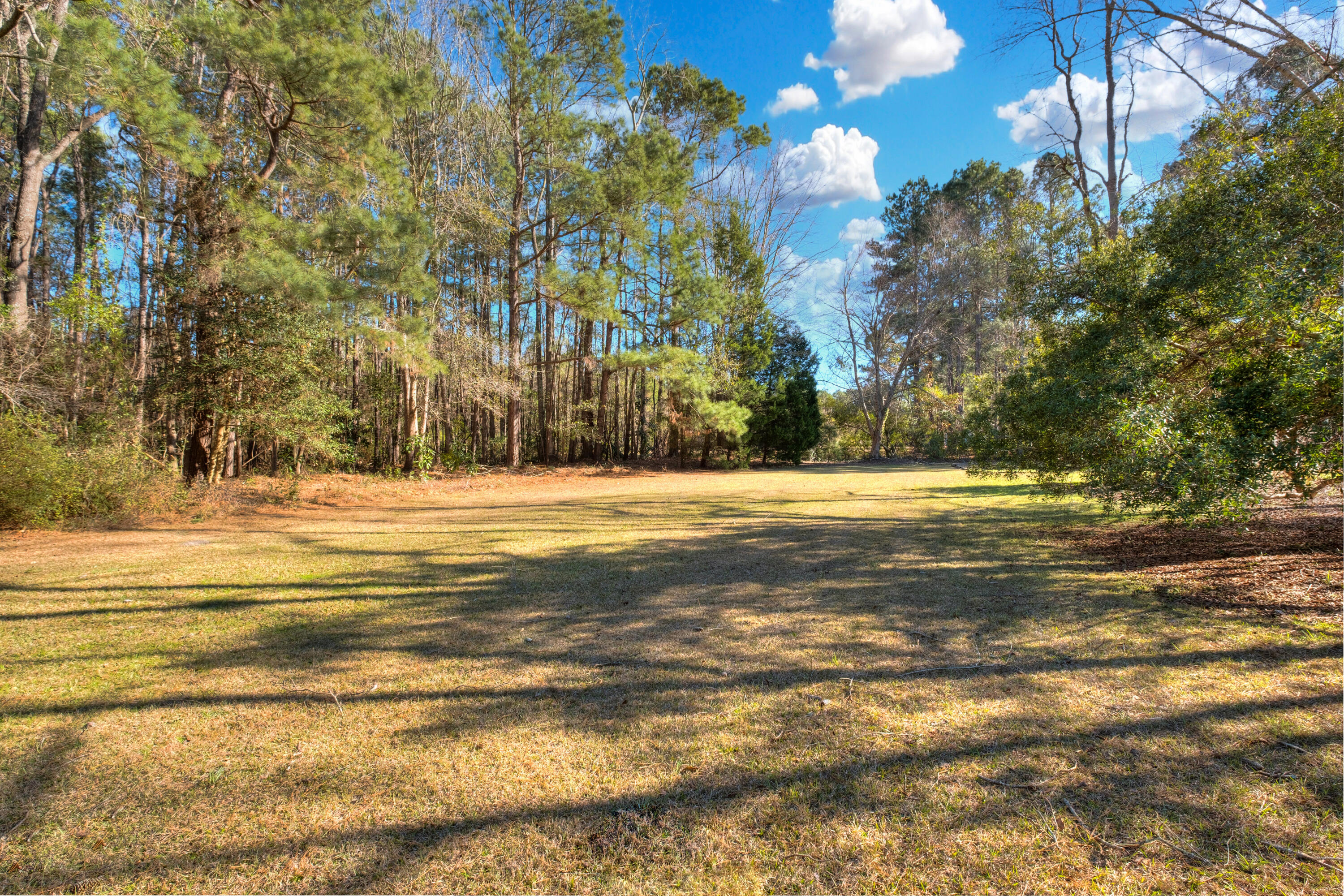 1562 Hickory Ridge Circle Manning, SC 29102 - Photo 56 of 56 17