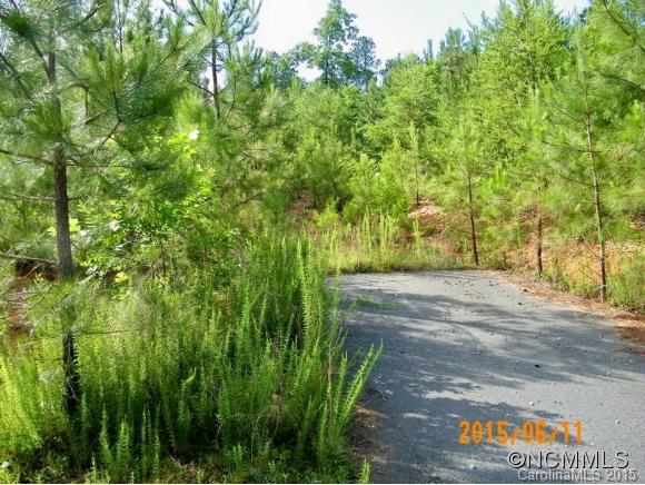 Lot 28 High Meadows Lane, Unit 28 Rutherfordton, NC 28139 - Photo 2 of 6 Gallery Image 2