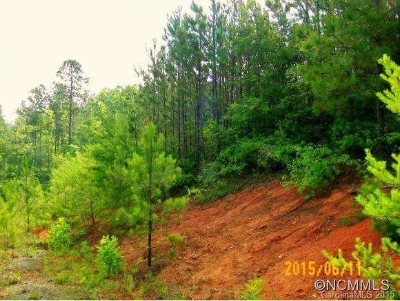 Lot 28 High Meadows Lane, Unit 28 Rutherfordton, NC 28139 - Photo 3 of 6 Gallery Image 3