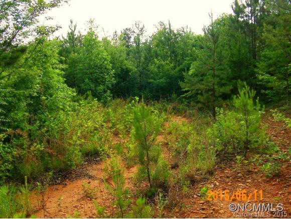 Lot 28 High Meadows Lane, Unit 28 Rutherfordton, NC 28139 - Photo 4 of 6 Gallery Image 4