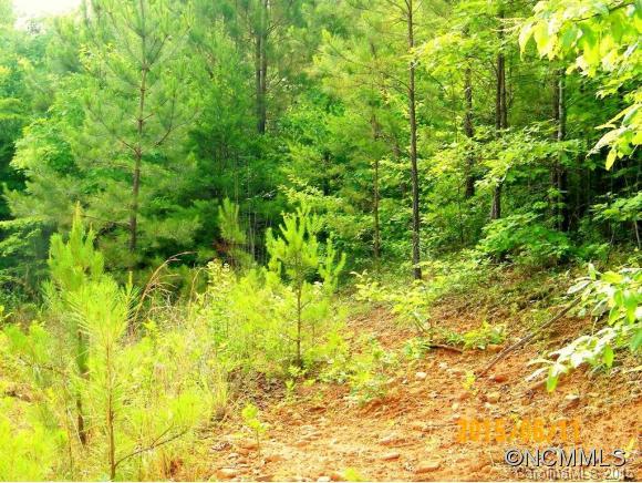 Lot 28 High Meadows Lane, Unit 28 Rutherfordton, NC 28139 - Photo 5 of 6 Gallery Image 5