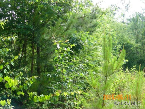 Lot 28 High Meadows Lane, Unit 28 Rutherfordton, NC 28139 - Photo 6 of 6 Gallery Image 6