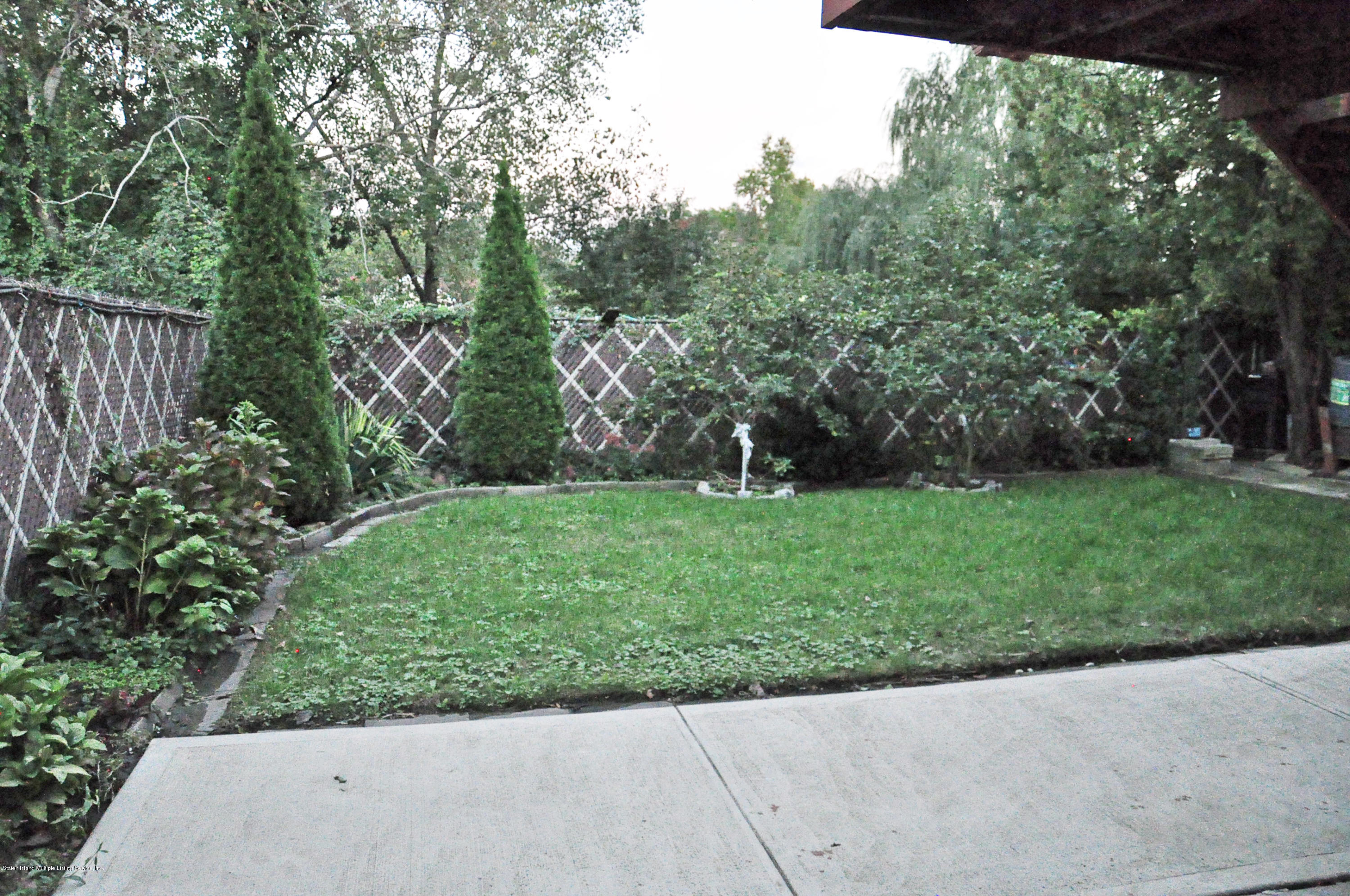 Back yard