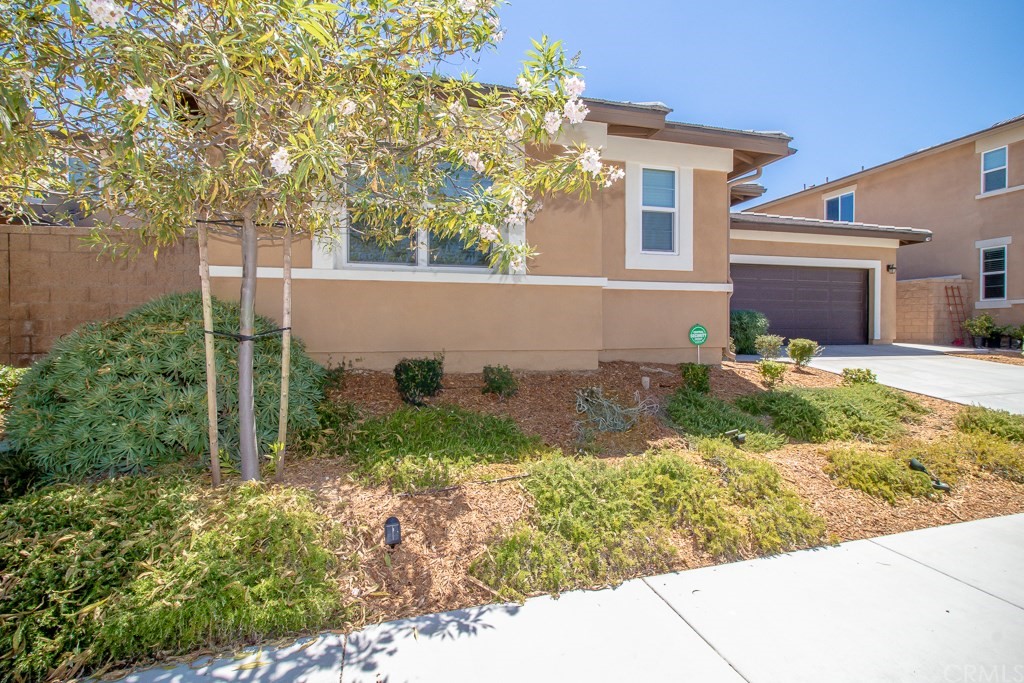 35251 Smith Avenue Beaumont, CA 92223 - Photo 4 of 33 front view of a house with a yard