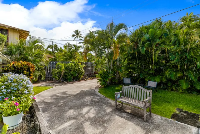 a view of a garden with a bench