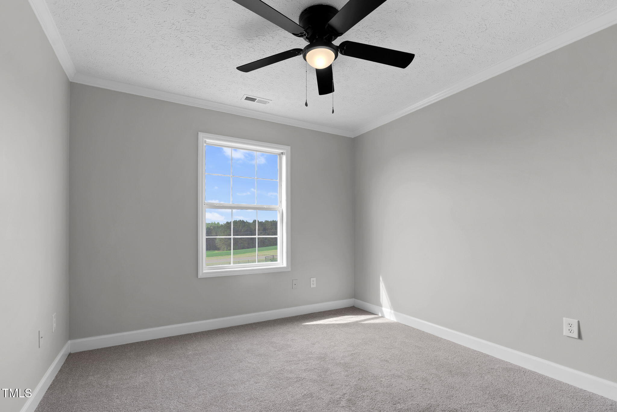 2651 Bennett Road Creedmoor, NC 27522 - Photo 25 of 46 3rd Bedroom