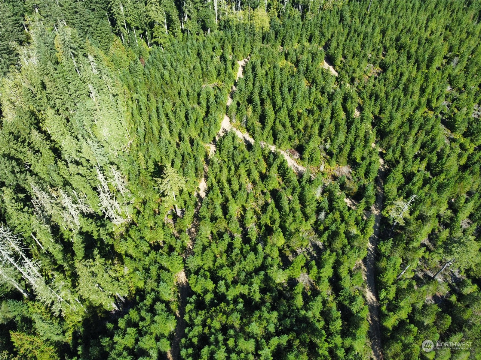 1400 West Camp Sundown Road Bremerton, WA 98312 - Photo 1 of 35 a view of a lush green space