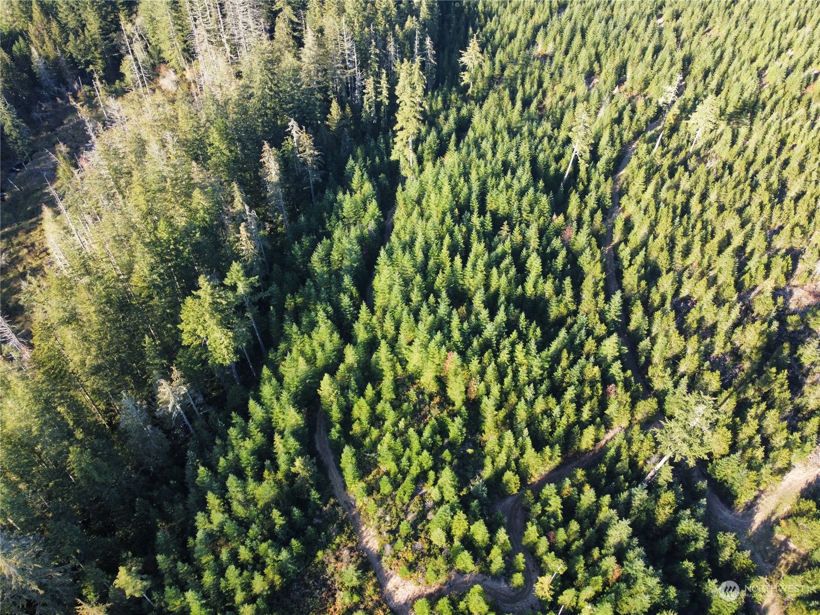 1400 West Camp Sundown Road Bremerton, WA 98312 - Photo 11 of 35 a view of a tree