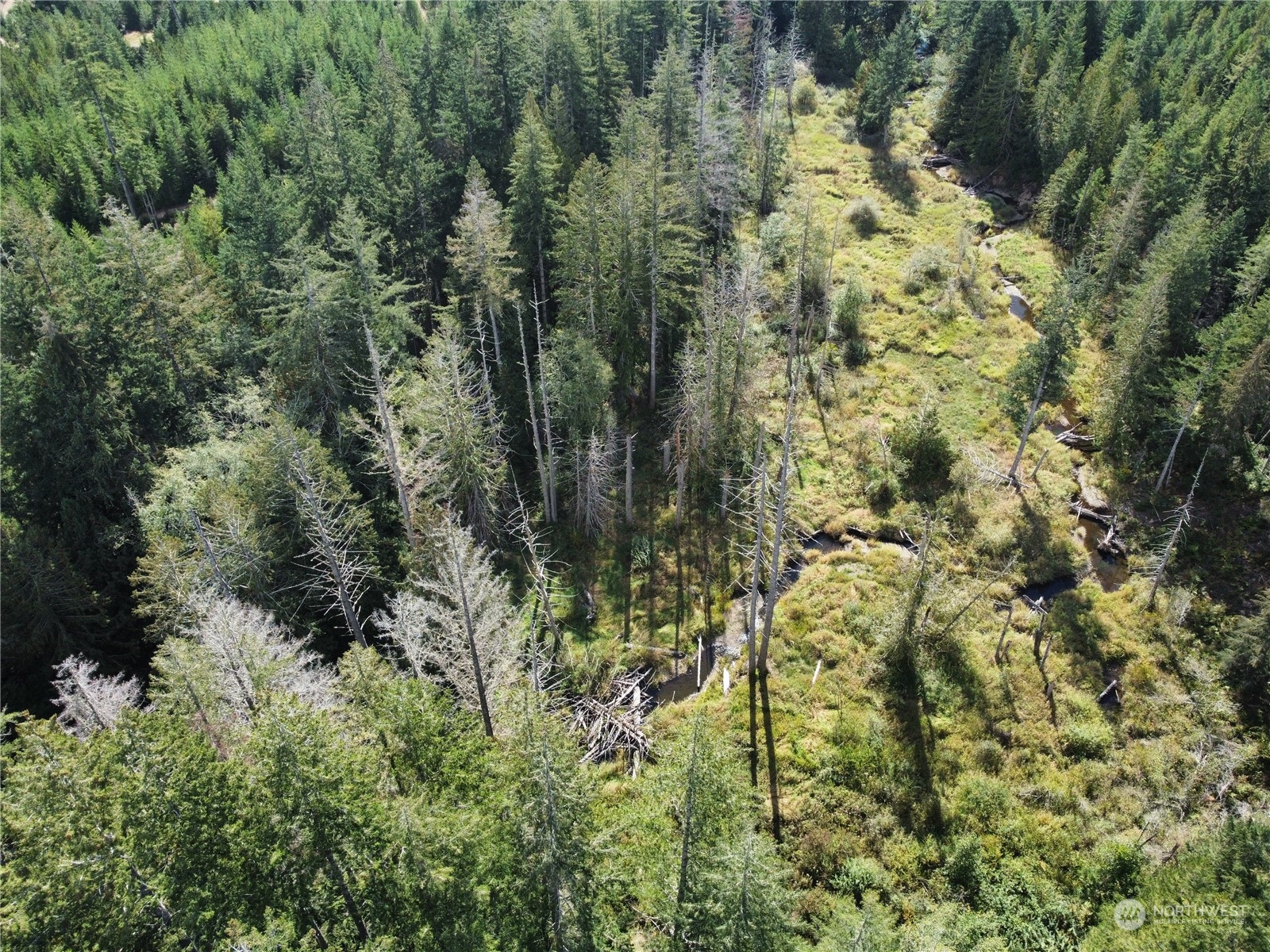 1400 West Camp Sundown Road Bremerton, WA 98312 - Photo 13 of 35 a view of a yard