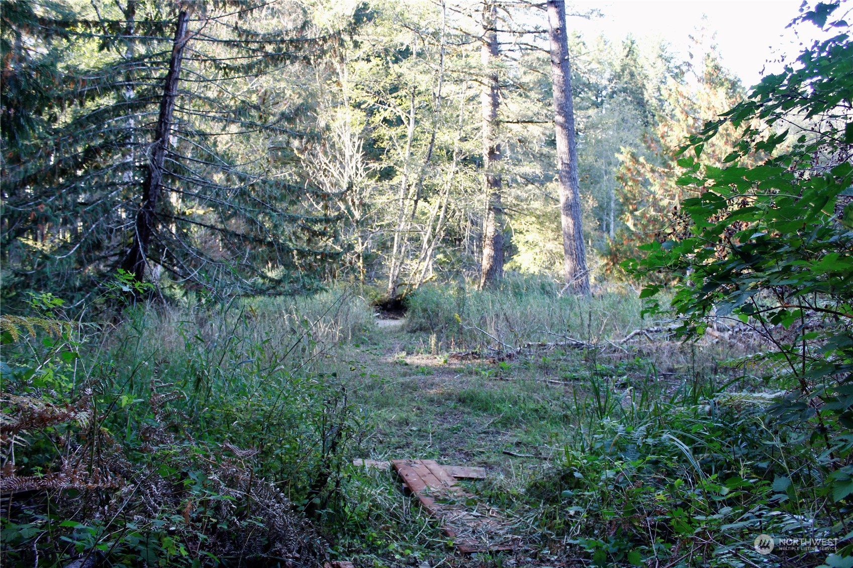 1400 West Camp Sundown Road Bremerton, WA 98312 - Photo 17 of 35 a view of a city with lush green forest