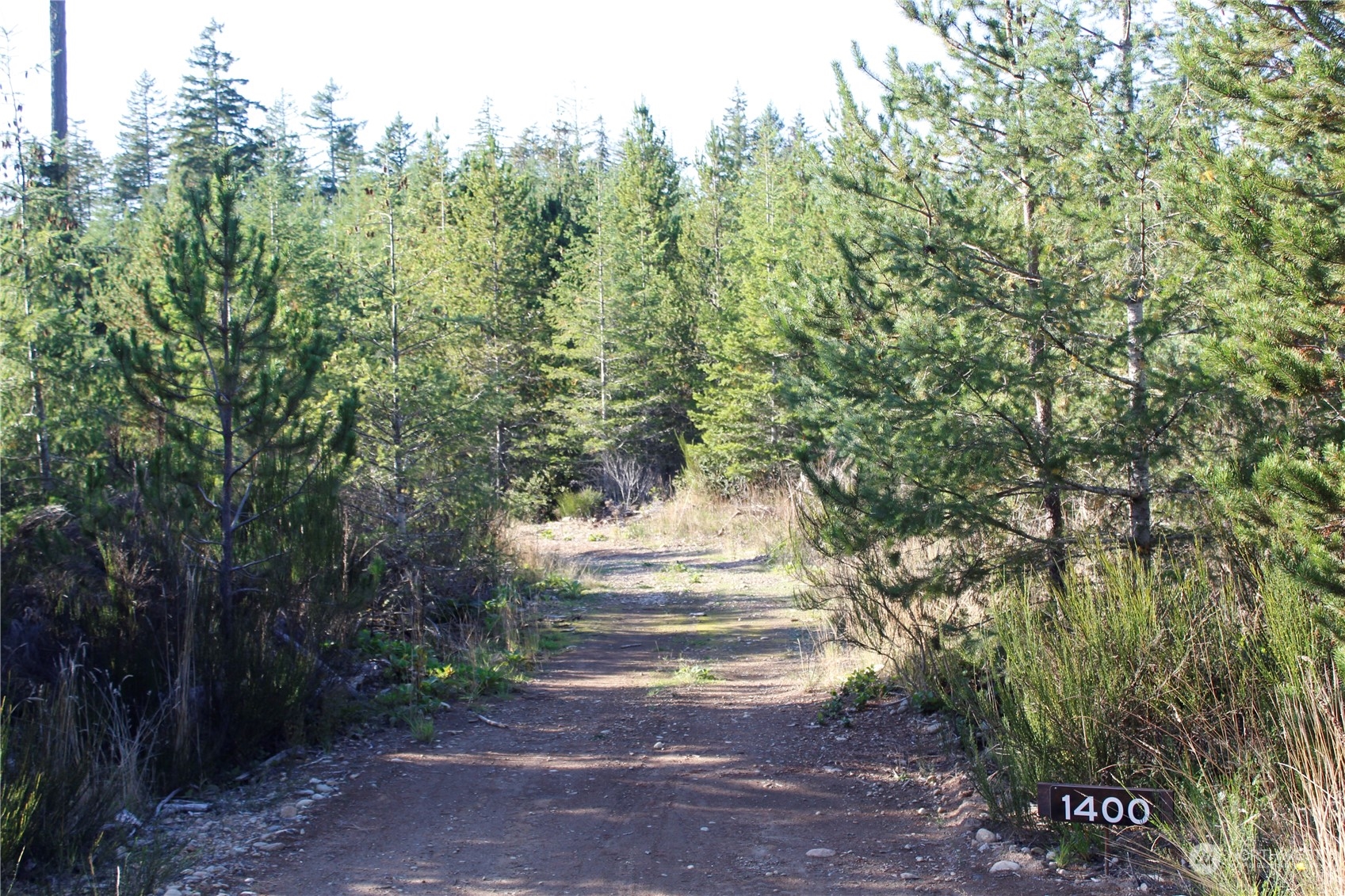 1400 West Camp Sundown Road Bremerton, WA 98312 - Photo 26 of 35 a view of yard
