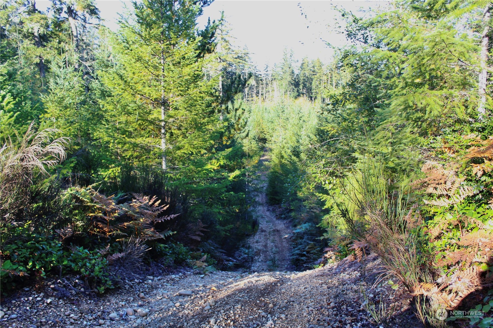 1400 West Camp Sundown Road Bremerton, WA 98312 - Photo 30 of 35 a view of a garden with a tree