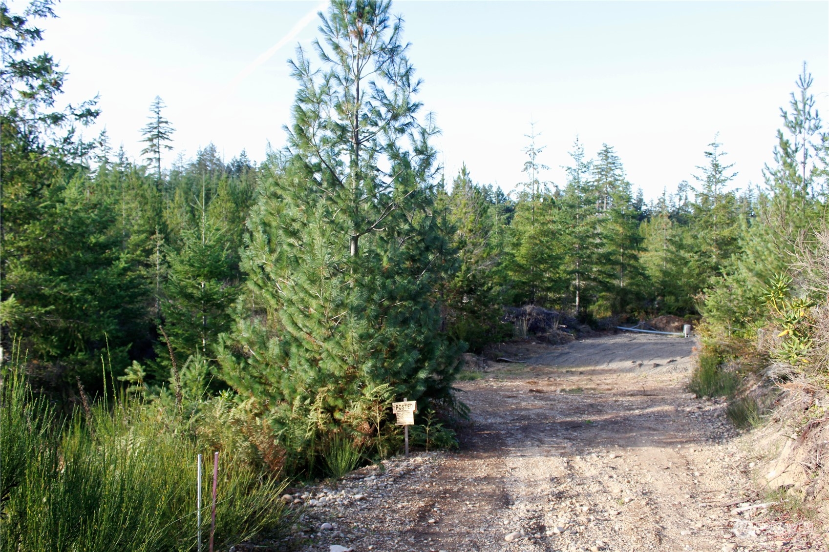 1400 West Camp Sundown Road Bremerton, WA 98312 - Photo 33 of 35 a view of a yard with plants and trees