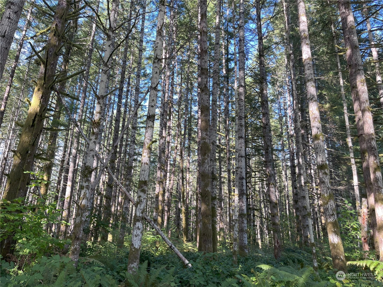 1400 West Camp Sundown Road Bremerton, WA 98312 - Photo 34 of 35