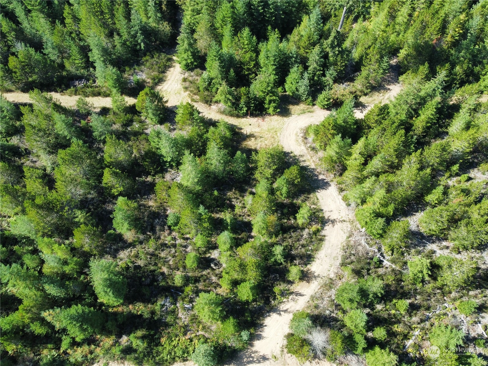 1400 West Camp Sundown Road Bremerton, WA 98312 - Photo 6 of 35 a view of a forest with a tree