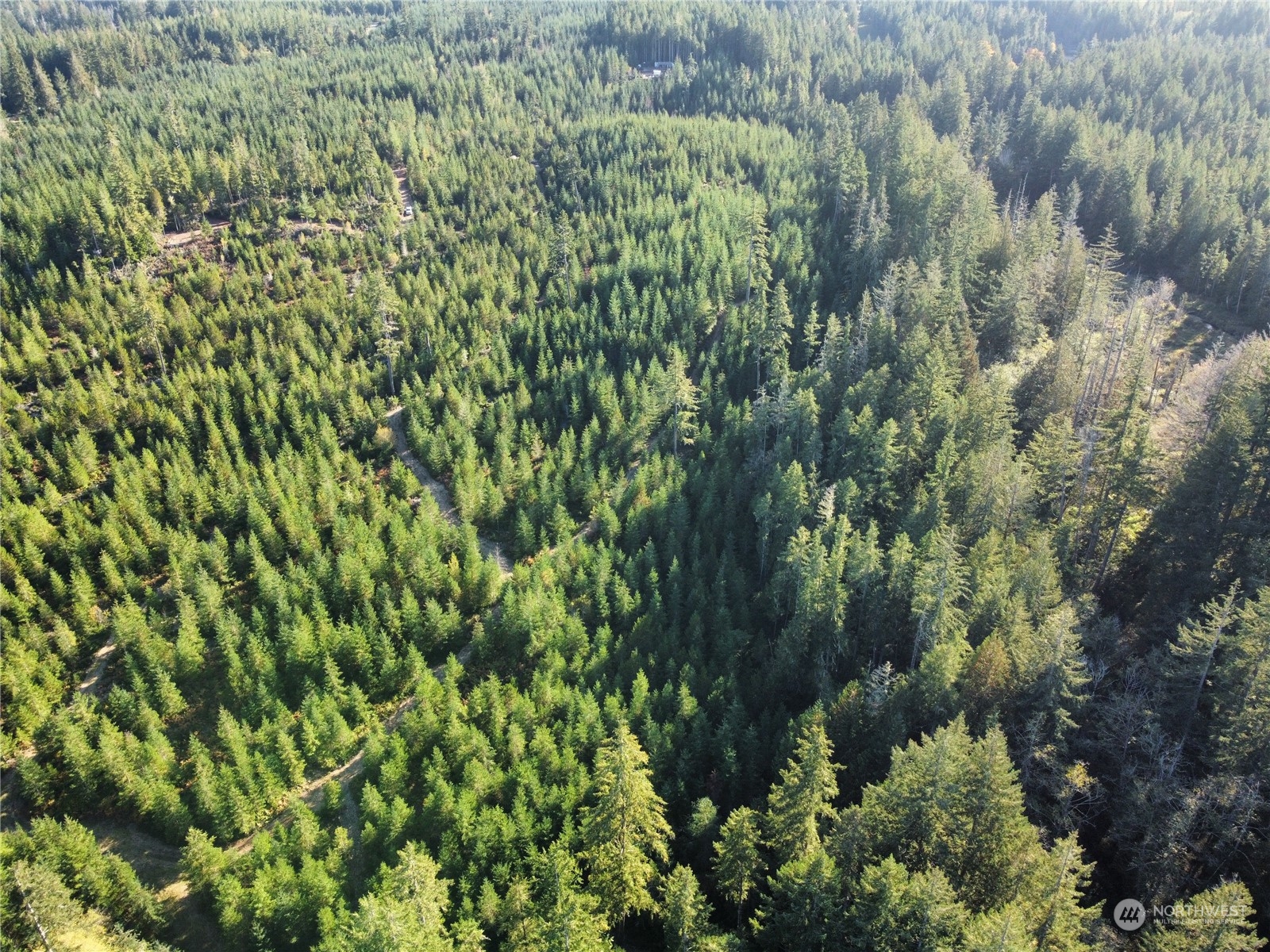 1400 West Camp Sundown Road Bremerton, WA 98312 - Photo 9 of 35 a view of a lush green forest