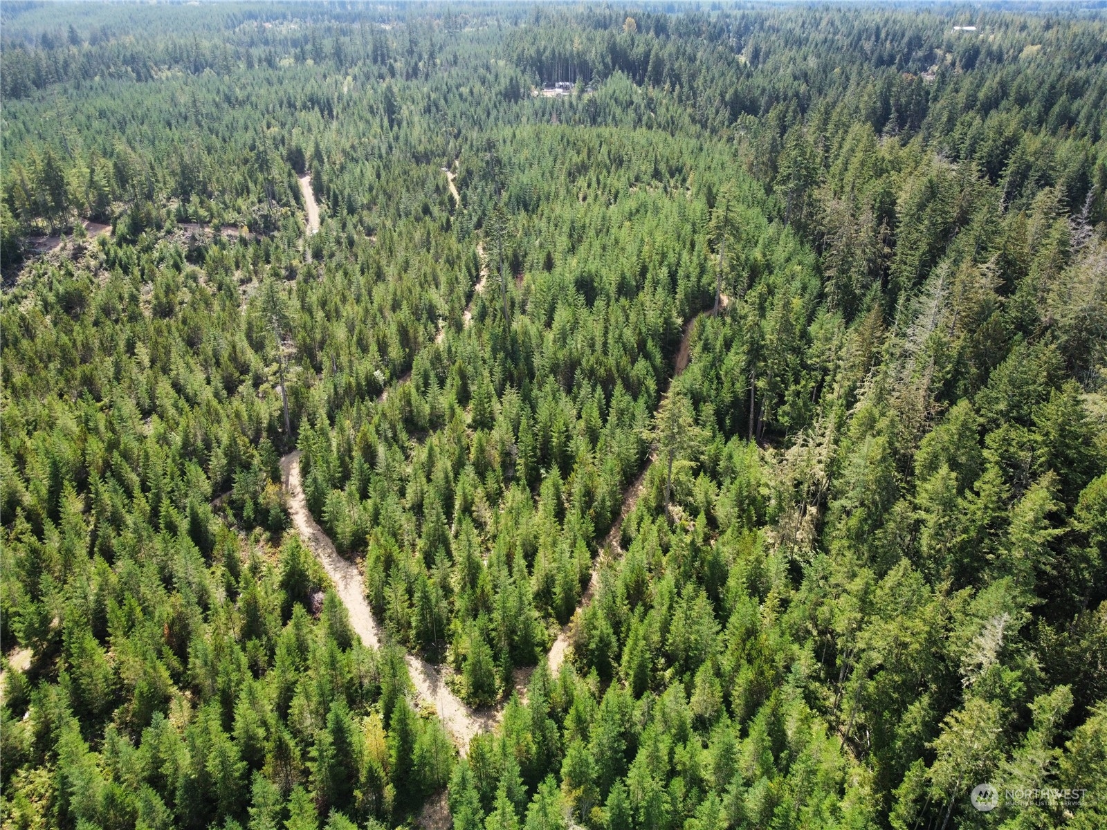 1400 West Camp Sundown Road Bremerton, WA 98312 - Photo 10 of 35 a view of a lush green forest