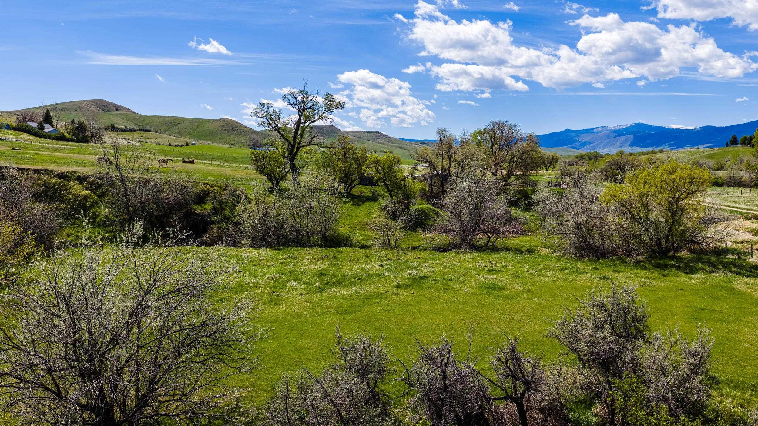 Tbd Beaver Creek Road Sheridan, WY 82801 - Photo 26 of 34