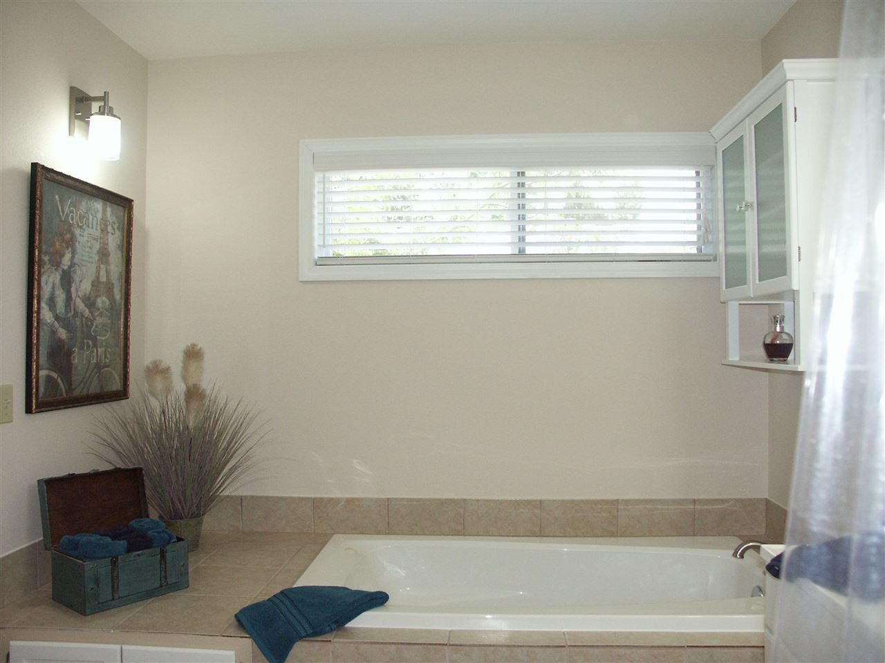 1208 Ridgewood Drive Lillian, AL 36549 - Photo 9 of 21 Whirlpool Tub
