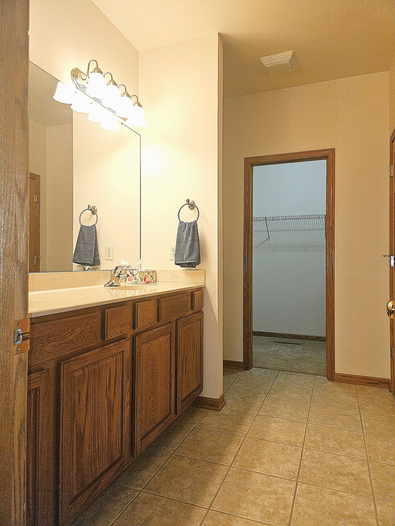 1670 Overlook Drive Dixon, IL 61021 - Photo 16 of 36 a bathroom with a sink and a mirror