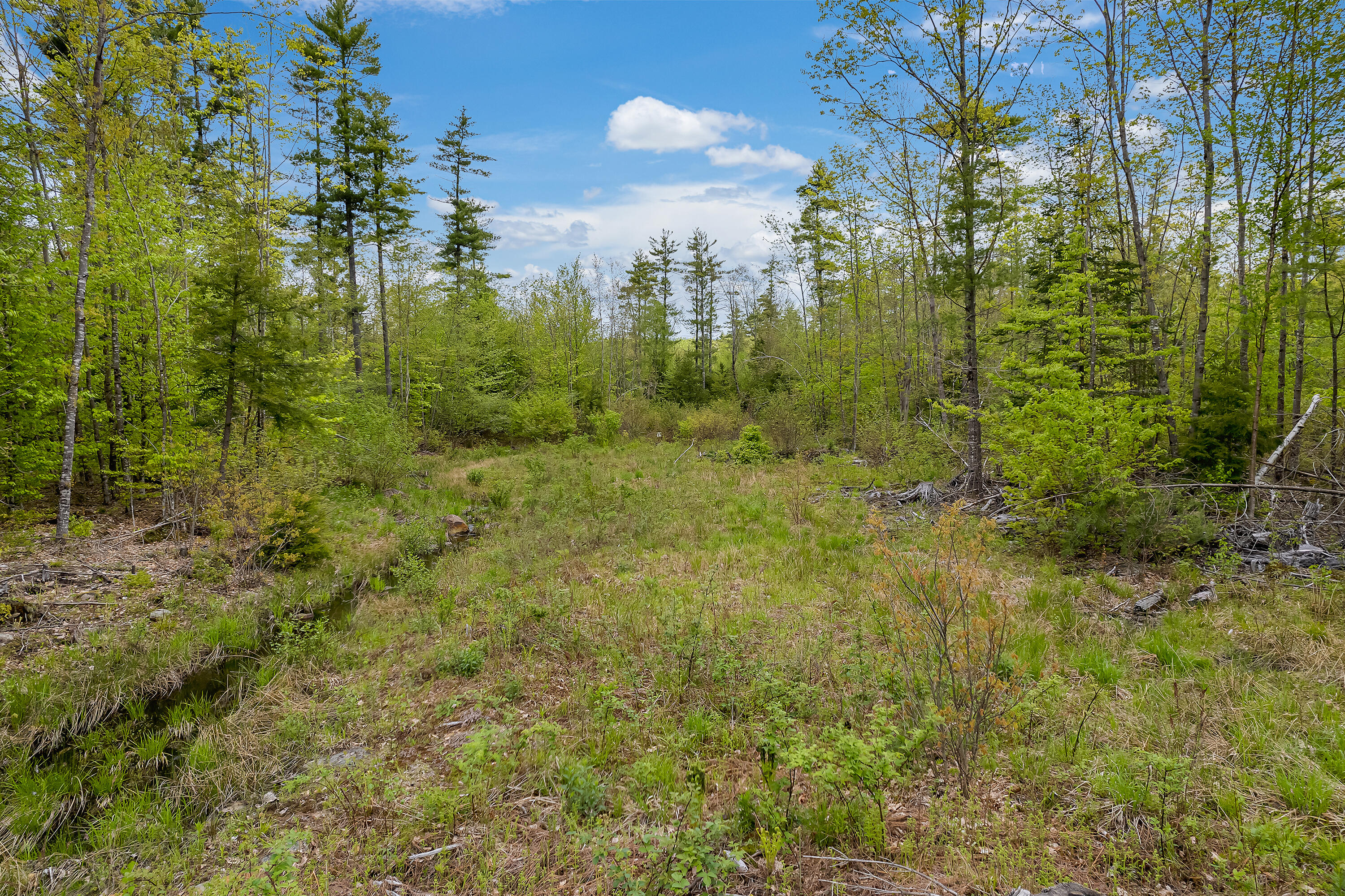 Lot 19-3 Beech Ridge Road North Berwick, ME 03906 - Photo 7 of 7 Clearing