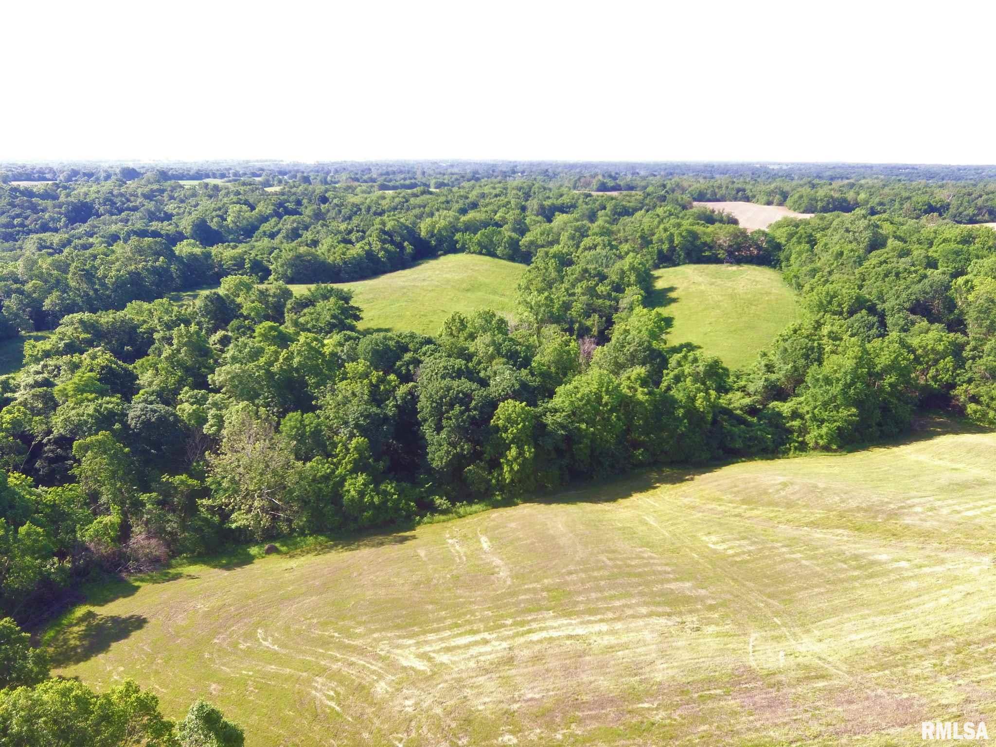 Hillview Eldred Road Hillview, IL 62050 - Photo 8 of 22