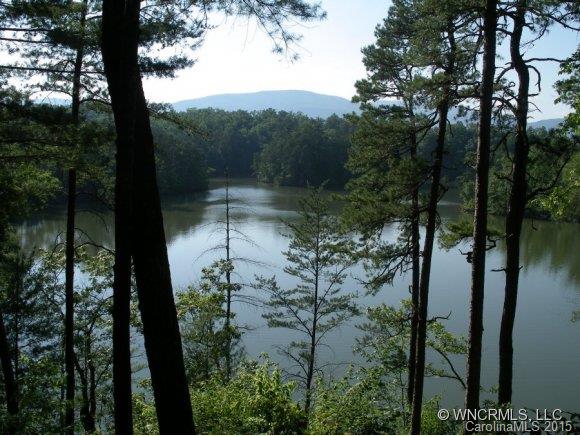 Lot 4 South Pointe Rd Mill Spring, Unit 4 Mill Spring, NC 28756 - Photo 1 of 22