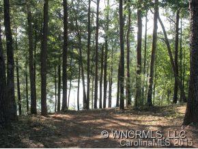 Lot 4 South Pointe Rd Mill Spring, Unit 4 Mill Spring, NC 28756 - Photo 3 of 22