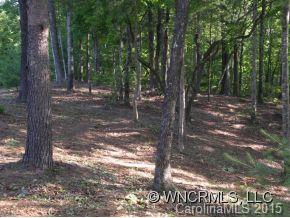 Lot 4 South Pointe Rd Mill Spring, Unit 4 Mill Spring, NC 28756 - Photo 4 of 22