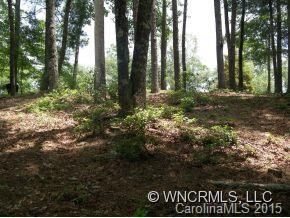 Lot 4 South Pointe Rd Mill Spring, Unit 4 Mill Spring, NC 28756 - Photo 5 of 22