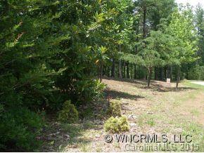 Lot 4 South Pointe Rd Mill Spring, Unit 4 Mill Spring, NC 28756 - Photo 7 of 22