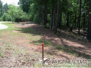 Lot 4 South Pointe Rd Mill Spring, Unit 4 Mill Spring, NC 28756 - Photo 8 of 22