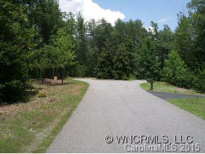 Lot 4 South Pointe Rd Mill Spring, Unit 4 Mill Spring, NC 28756 - Photo 9 of 22