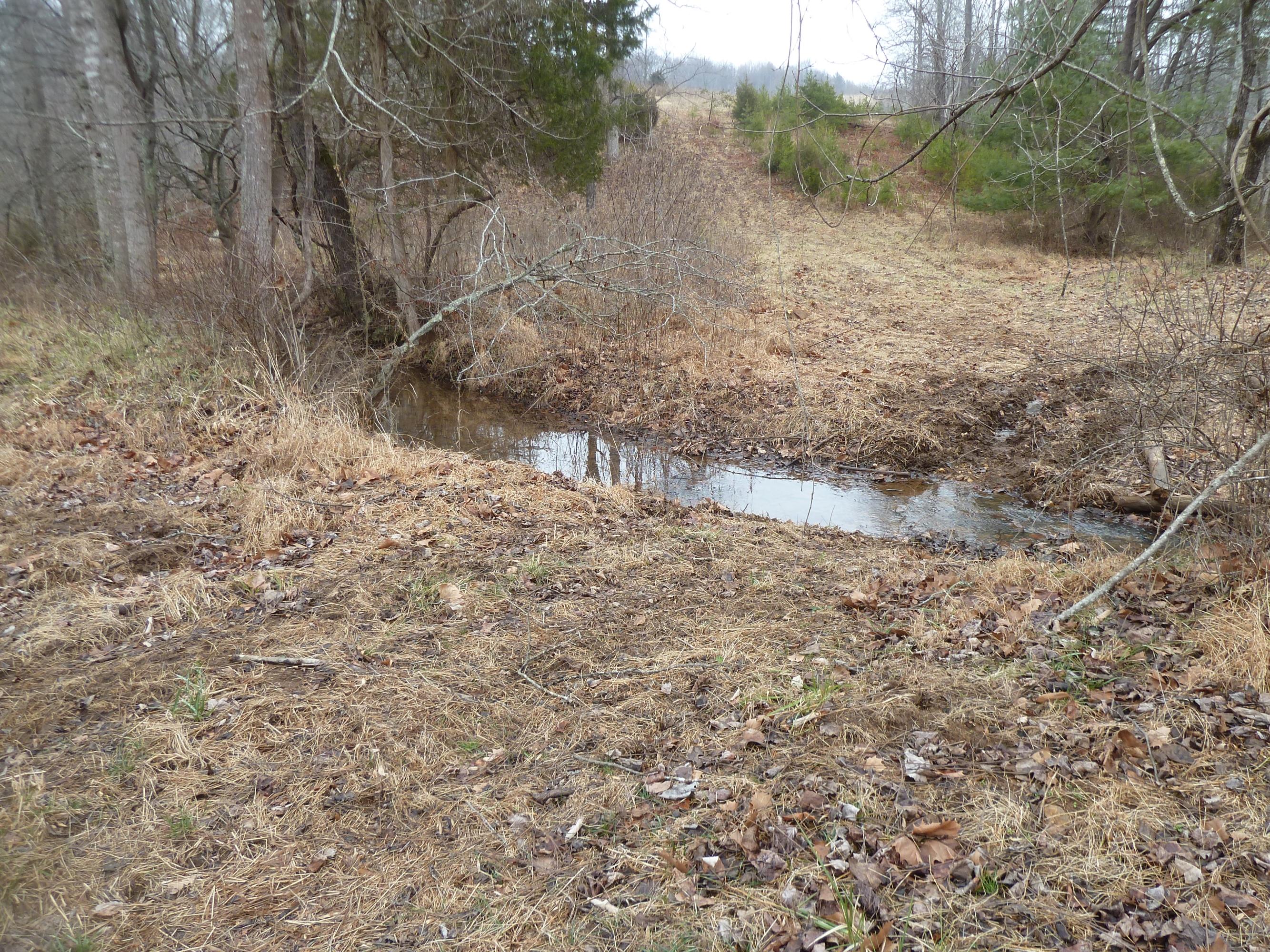 1690 Republican Church Road Ferrum, VA 24088 - Photo 22 of 25 a view of a dry yard with trees