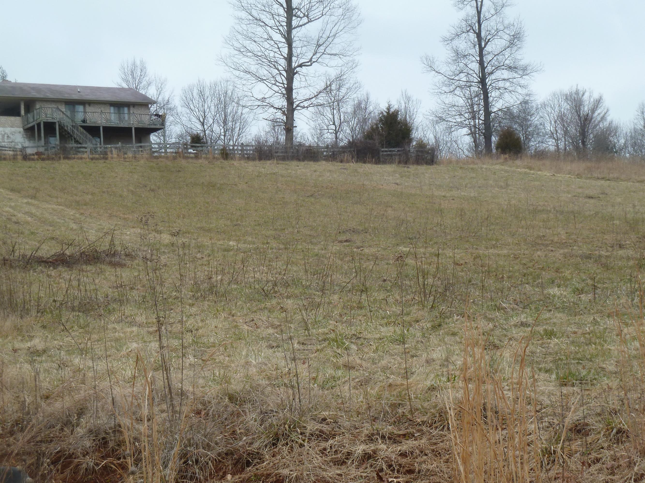 1690 Republican Church Road Ferrum, VA 24088 - Photo 8 of 25 a view of house with outdoor space