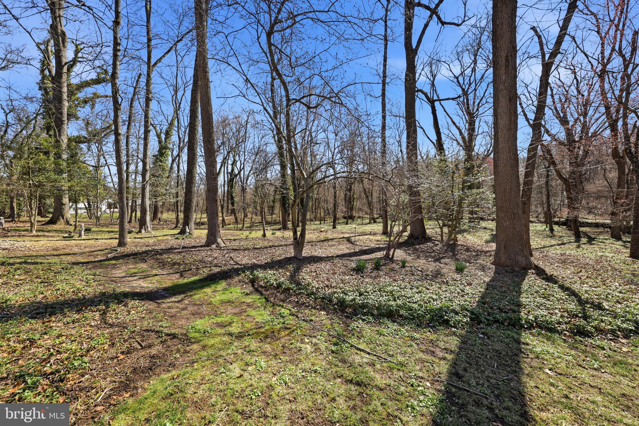 300 Sawmill Road Cherry Hill, NJ 08034 - Photo 41 of 47