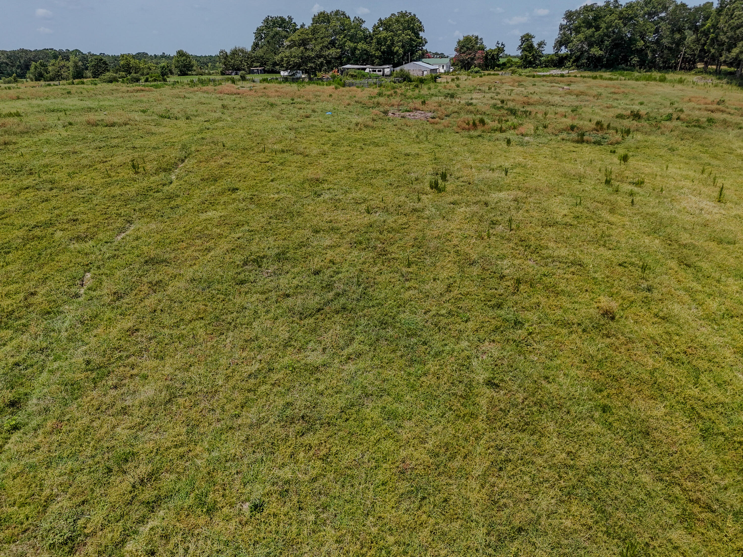 3958 Gopher Ridge Road Samson, AL 36477 - Photo 14 of 25 DJI_20260730003601_0020_D-2 - Copy