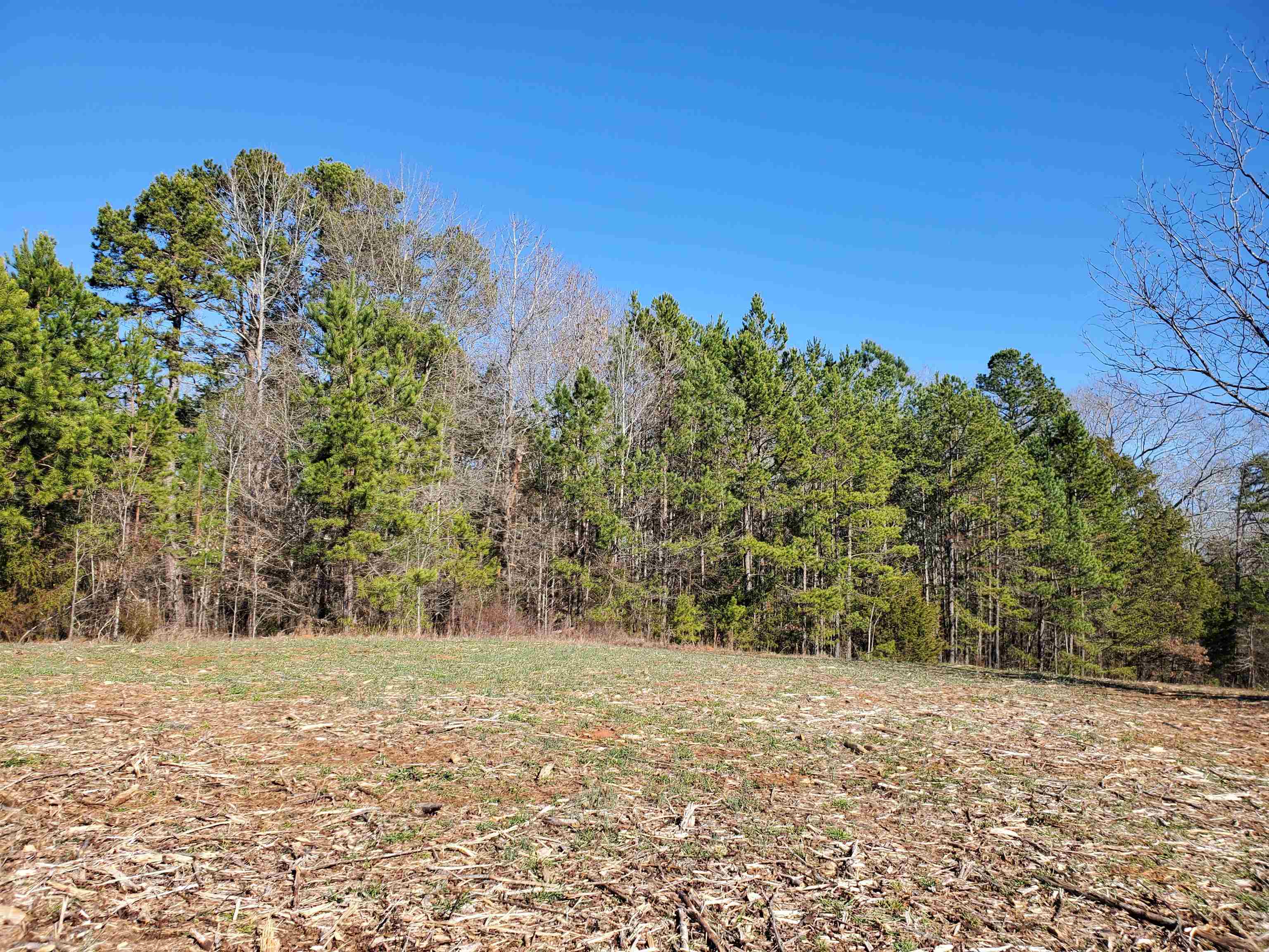 2 Ritchie Road Fountain Inn, SC 29644 - Photo 4 of 20