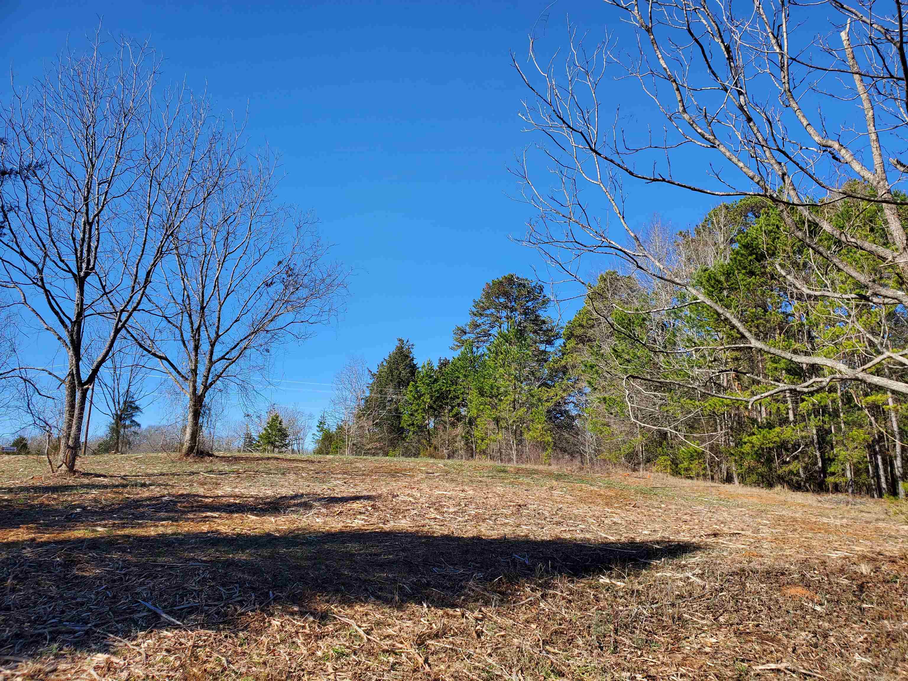 2 Ritchie Road Fountain Inn, SC 29644 - Photo 6 of 20