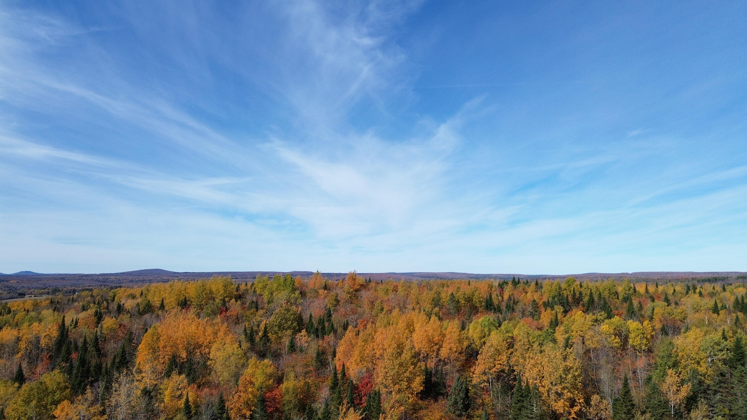 350 Currie Road Smyrna Mills, ME 04780 - Photo 21 of 35 DJI_0556