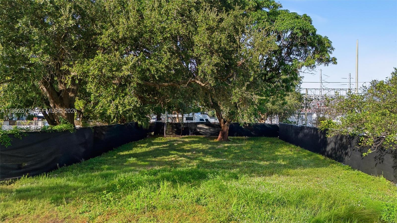 344 Northwest 41st Street Miami, FL 33127 - Photo 7 of 10 a view of a backyard with large trees