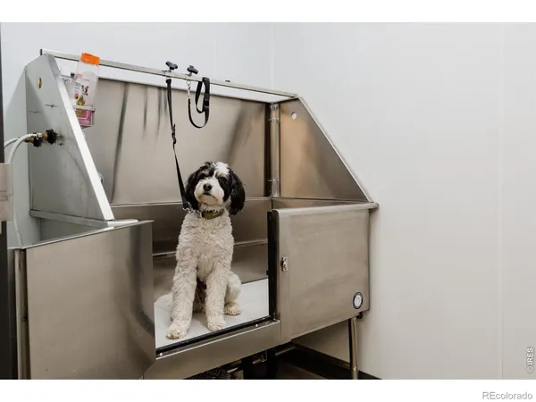 $715,000 | 401 Linden Street, Unit 3336, Fort Collins, CO 80524