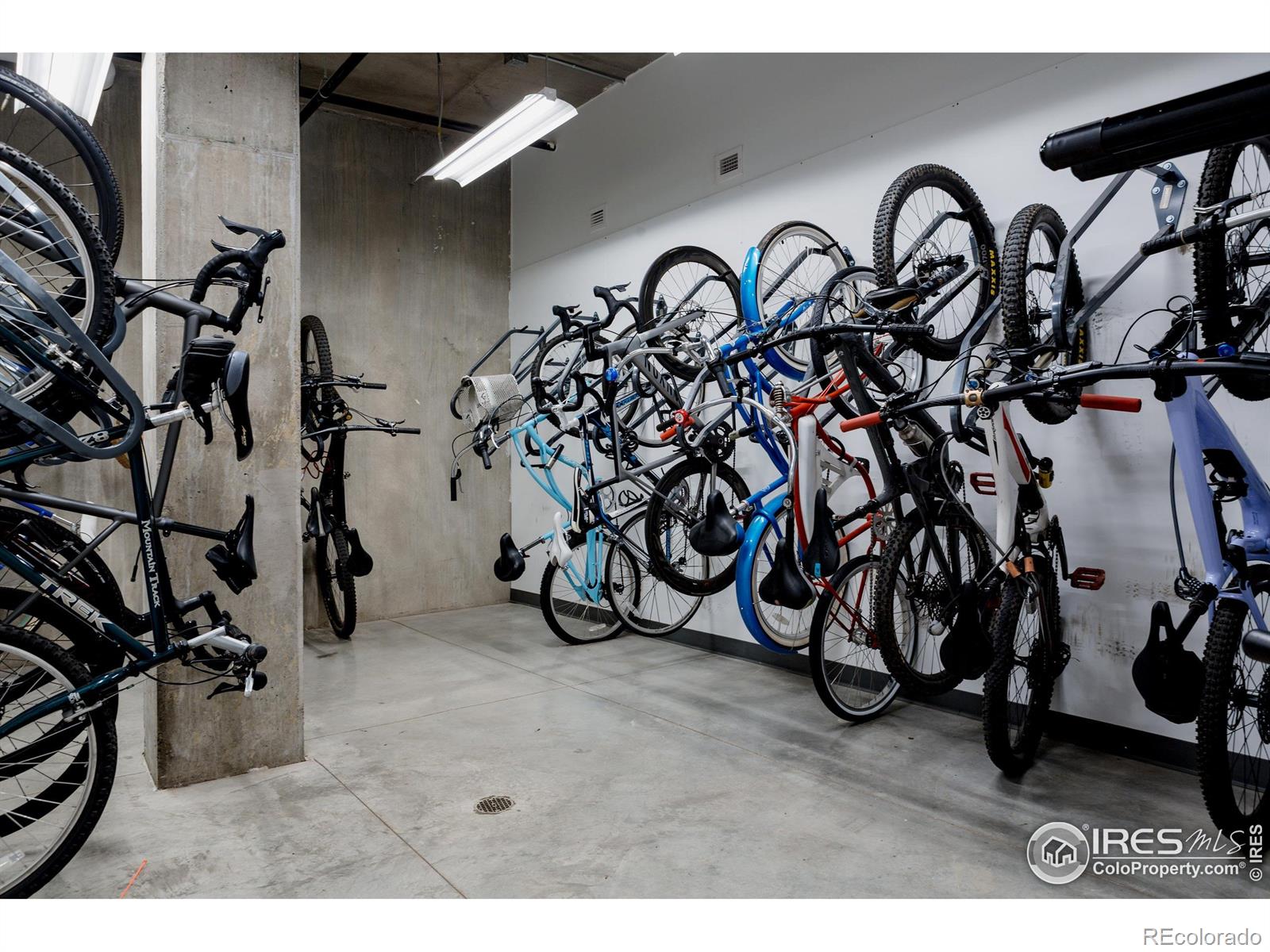 401 Linden Street, Unit 3336 Fort Collins, CO 80524 - Photo 42 of 43