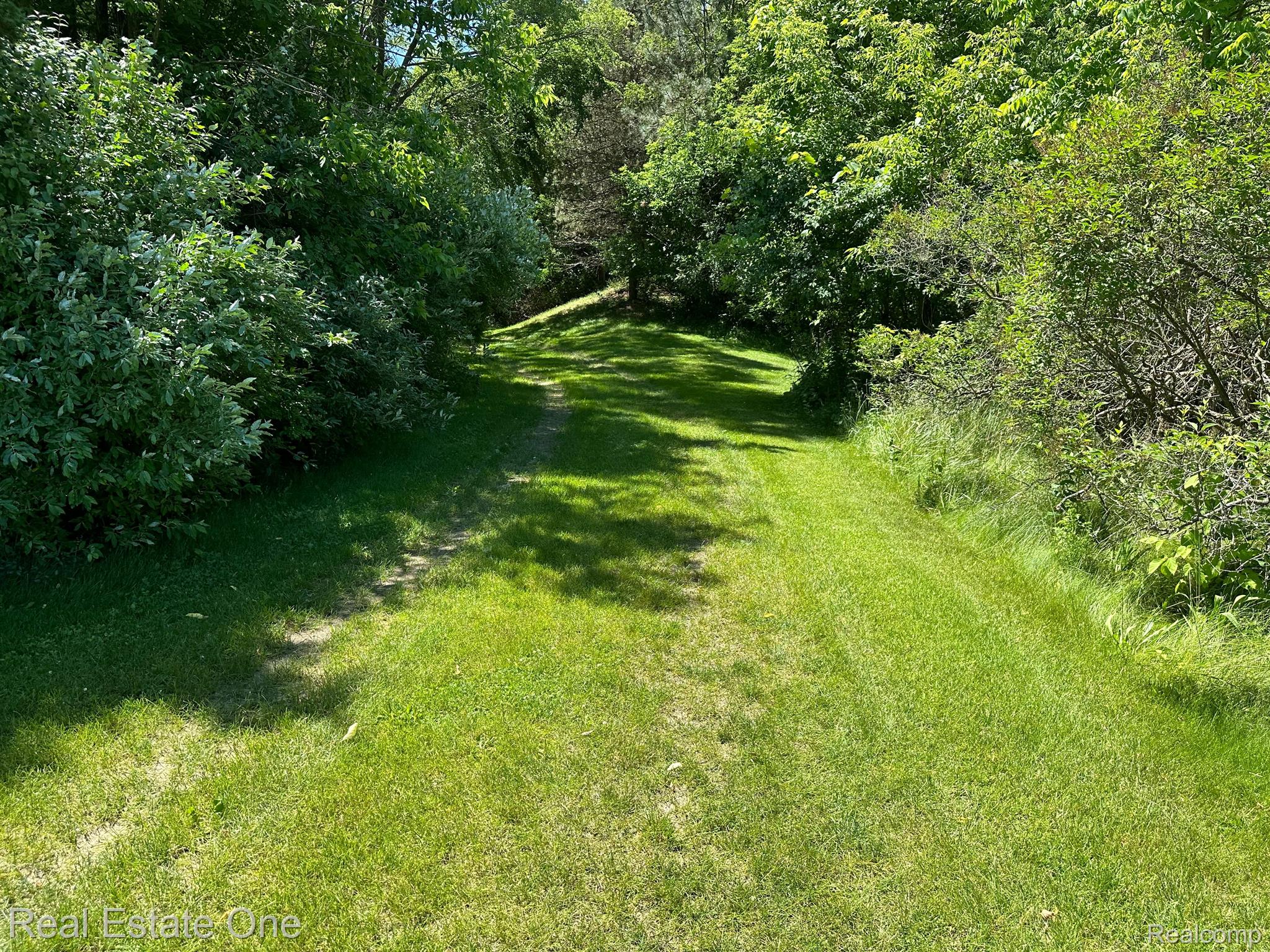 11780 Scott Road Davisburg, MI 48350 - Photo 3 of 6 Beautiful woods