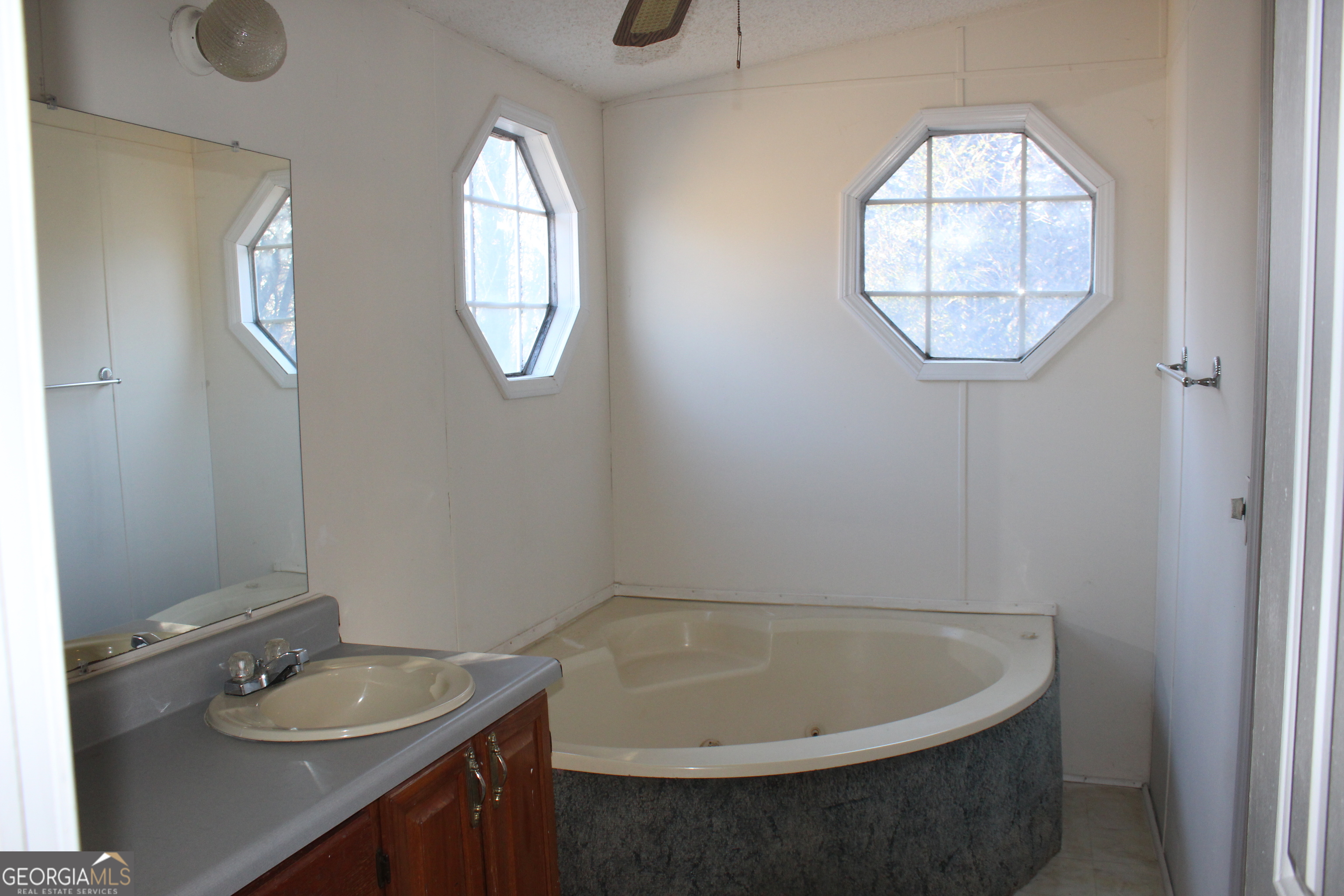 1691 A Rover Zetella Road Williamson, GA 30292 - Photo 17 of 24 a bathroom with a sink and a mirror