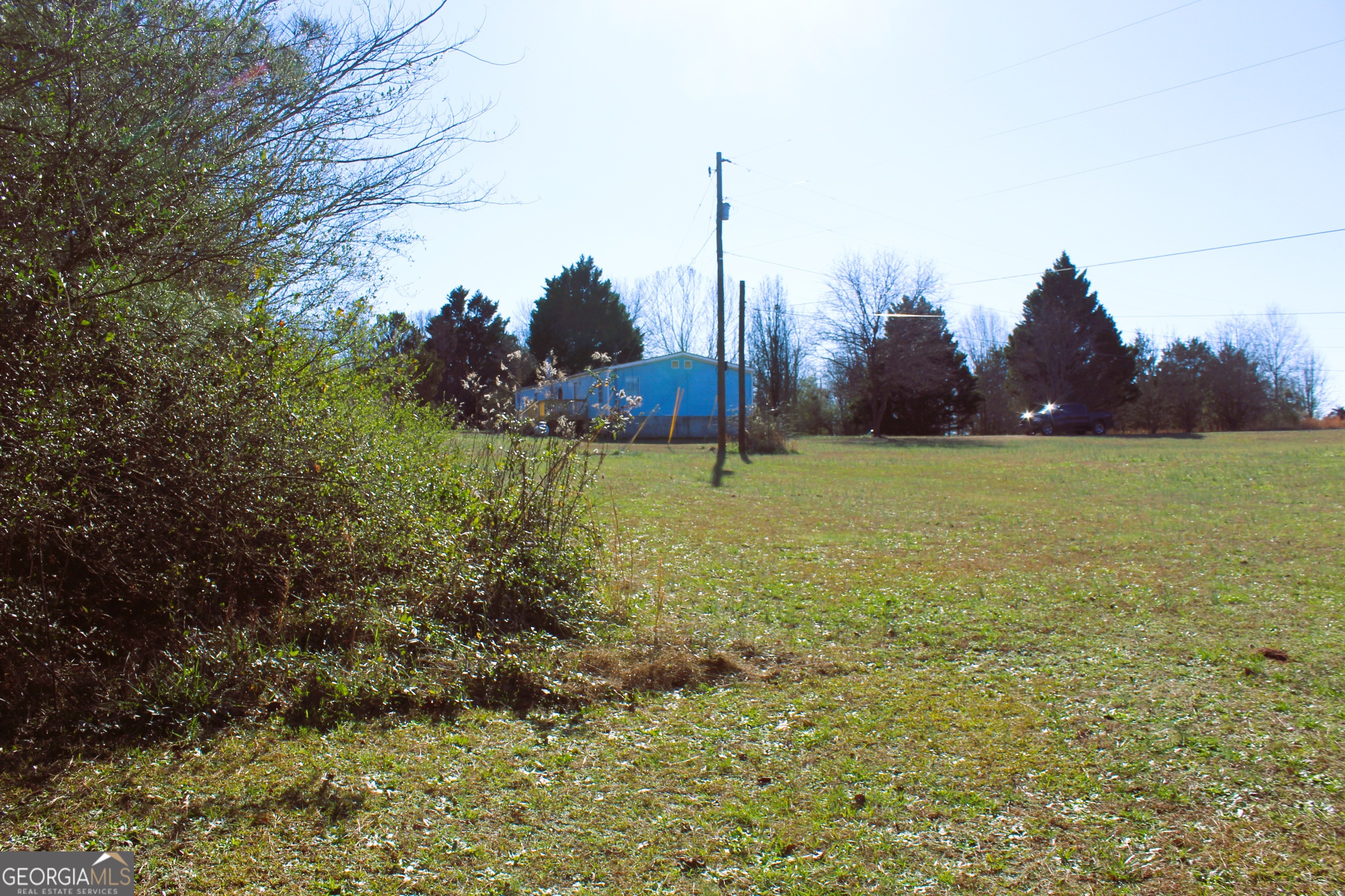 1691 A Rover Zetella Road Williamson, GA 30292 - Photo 6 of 24 a view of a garden with a tree