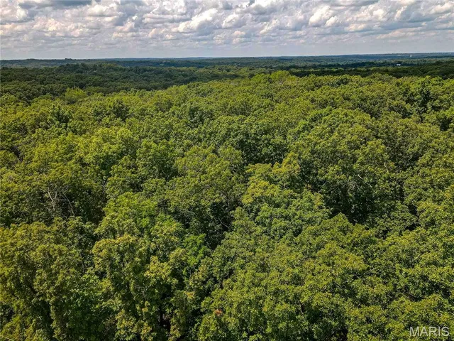 $40,000 | 1855 Hendricks Road, Lonedell, MO 63060