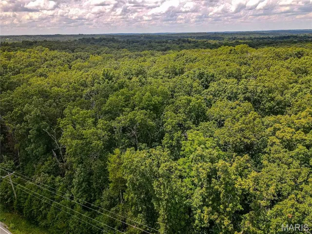 $40,000 | 1855 Hendricks Road, Lonedell, MO 63060