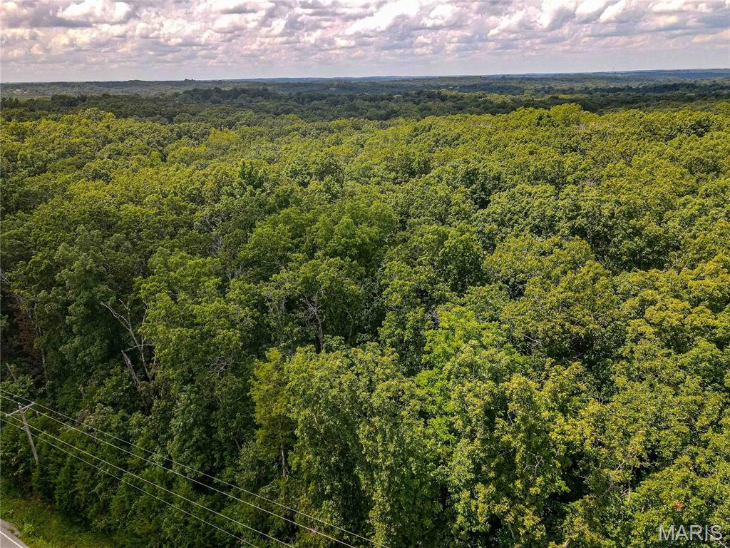 1855 Hendricks Road Lonedell, MO 63060 - Photo 4 of 5