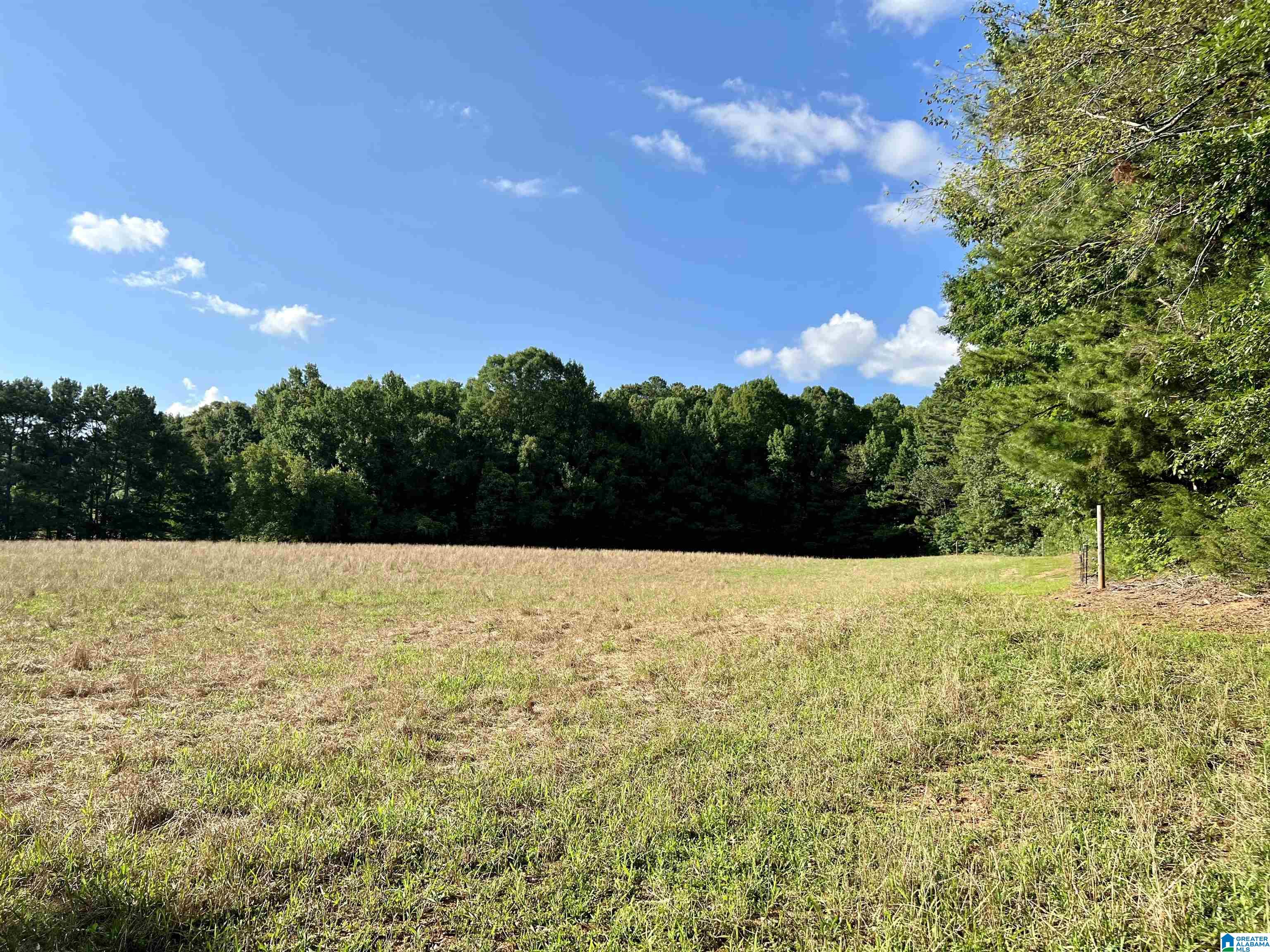 1515 Kelly Ranch Road, Unit 138 ACRES / Talladega, AL 35160 - Photo 35 of 42
